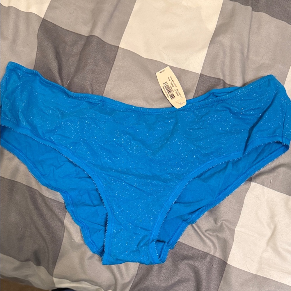 Victoria's Secret Blue and Silver Sparkle Ruched Panties, new w/tag